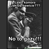 No to gazu